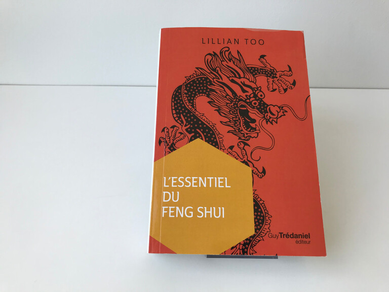 L'ESSENTIEL DU FENG SHUI - Deltaluz.eu