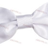 CRANPB-Noeud_Papillon_blanc
