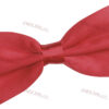 CRANPR-Noeud_Papillon_Rouge