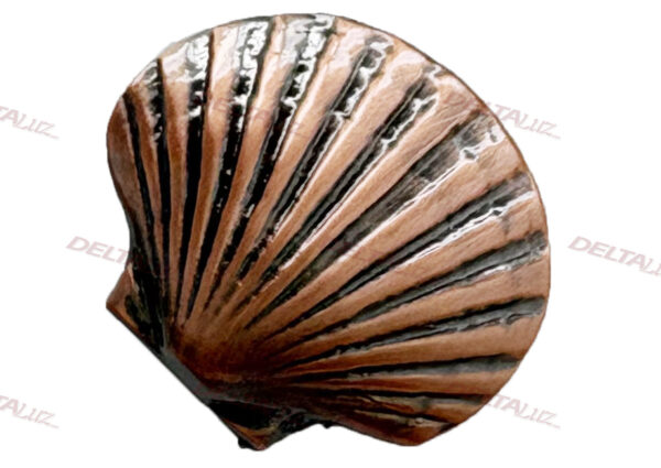 Coquille Tunique Saint Thomas d'Acre - COSTA